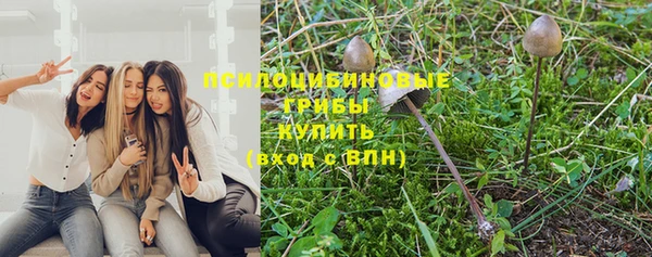 бутират Надым