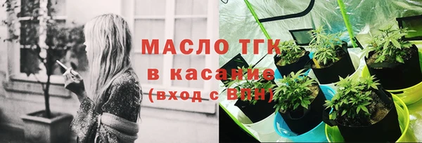 сатива Белая Холуница