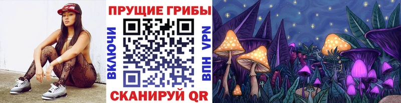 что такое   Кирс  сайты даркнета телеграм  Галлюциногенные грибы Psilocybine cubensis 